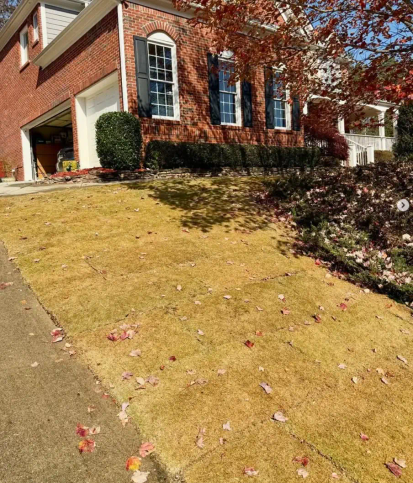 Custom sod and lawn installation by A.SCAPINGS in Gainesville, GA