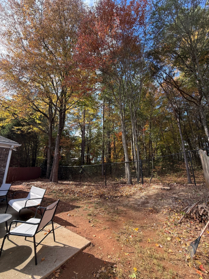 Tree trimming and pruning by A.SCAPINGS in Hall County, GA